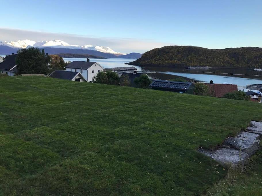 Perfect Apartment For Whale Safari At Skjervoy! Exterior foto