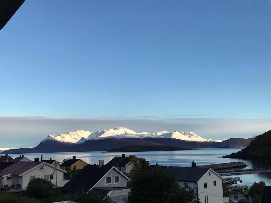 Perfect Apartment For Whale Safari At Skjervoy! Exterior foto